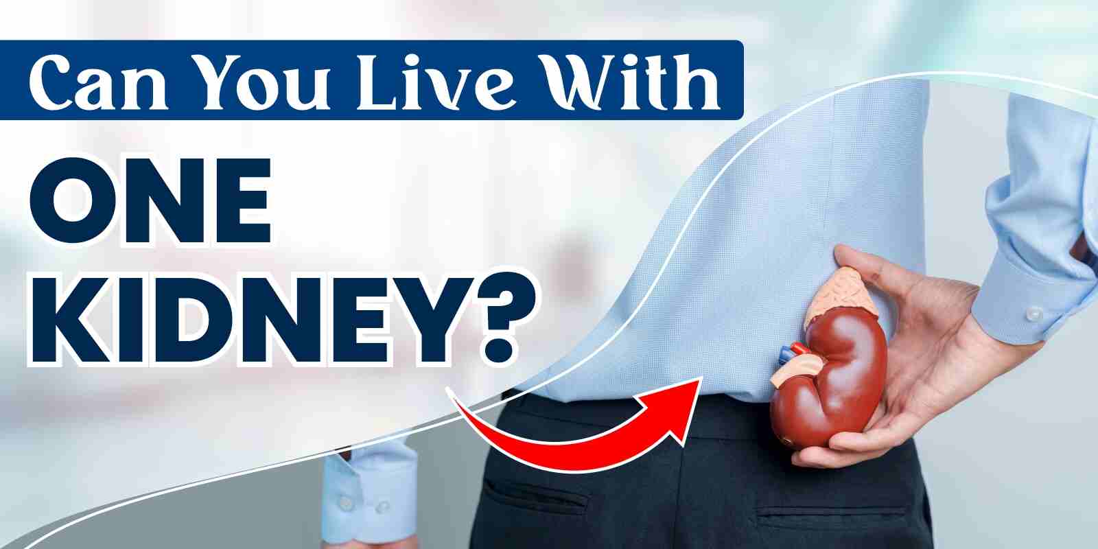 Can You Live With One Kidney?